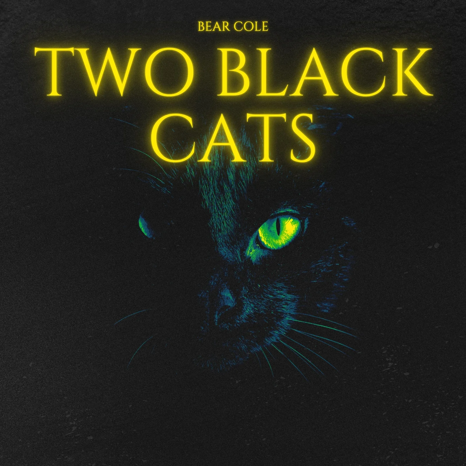 Two Black Cats cover artwork