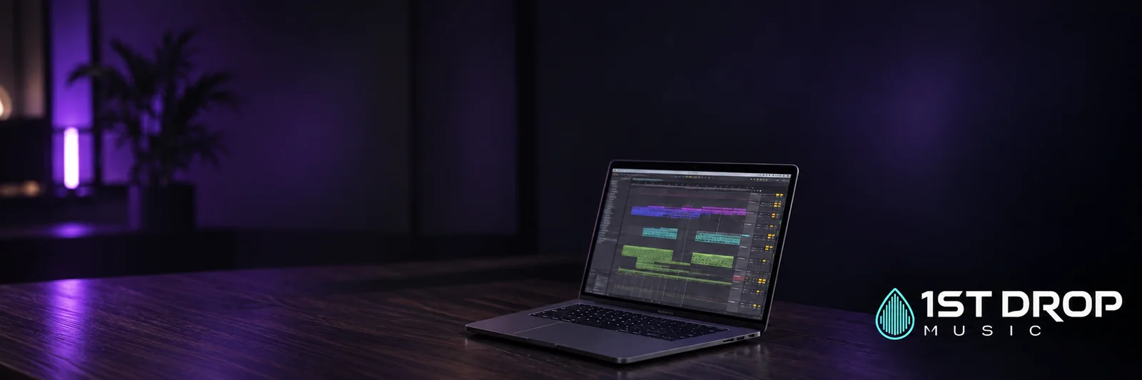 Music Without a Single Lane: Understanding the Sound of Bear Cole featured image