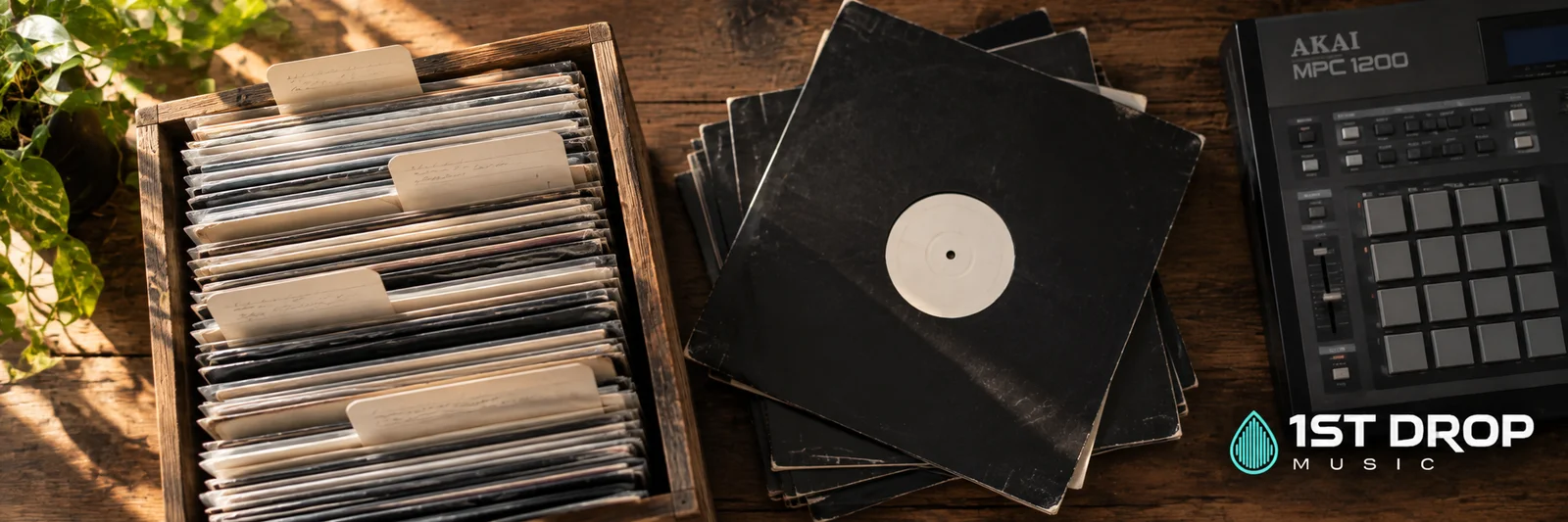 A Guide to the Bear Cole Music Catalog featured image